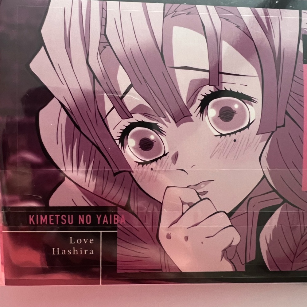Love Hashira Anime Demon Slayer Flies Folder